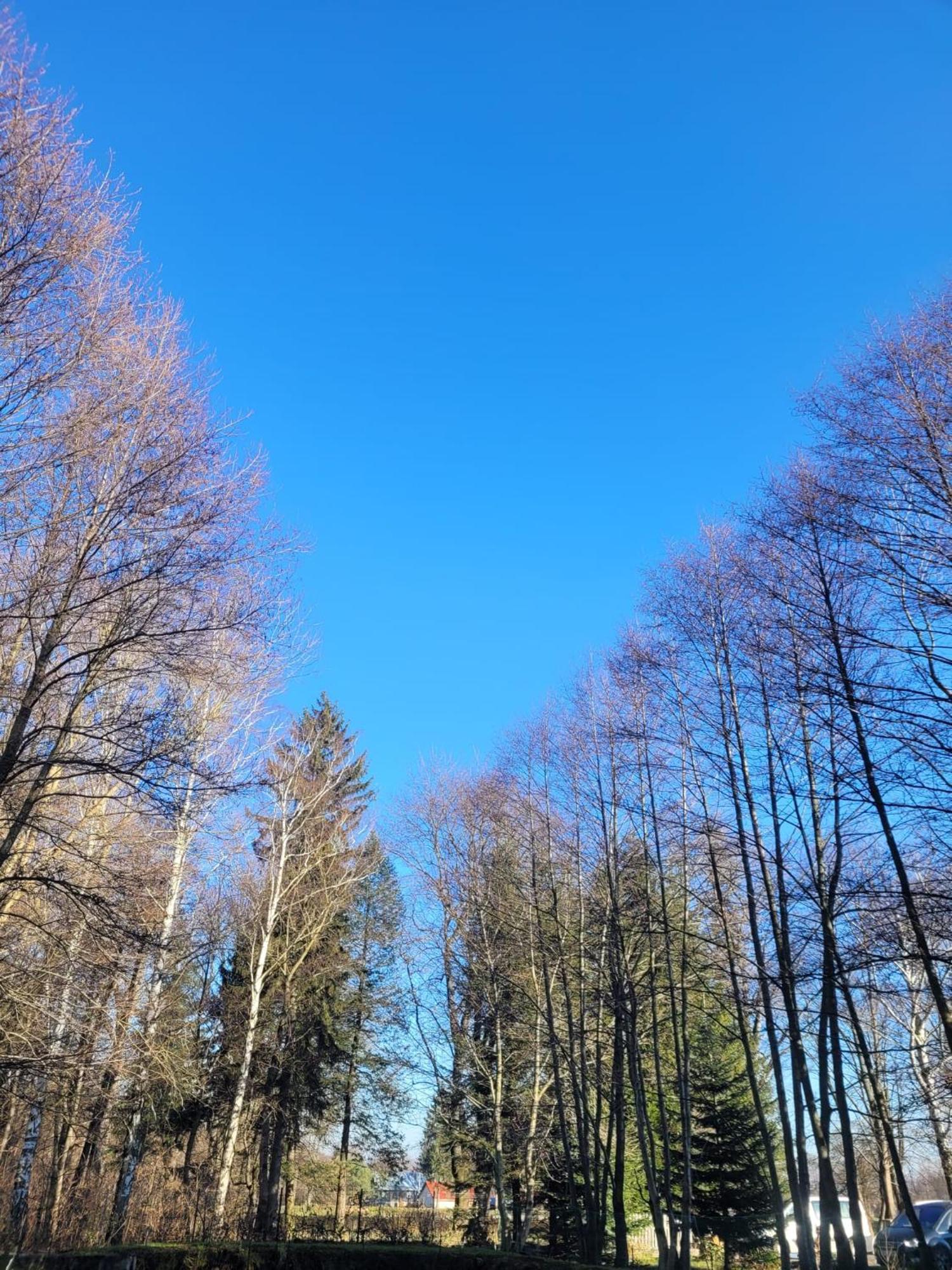 Wataha Pod Basztami - Alfa - Domki Caloroczne Radkow Exterior foto
